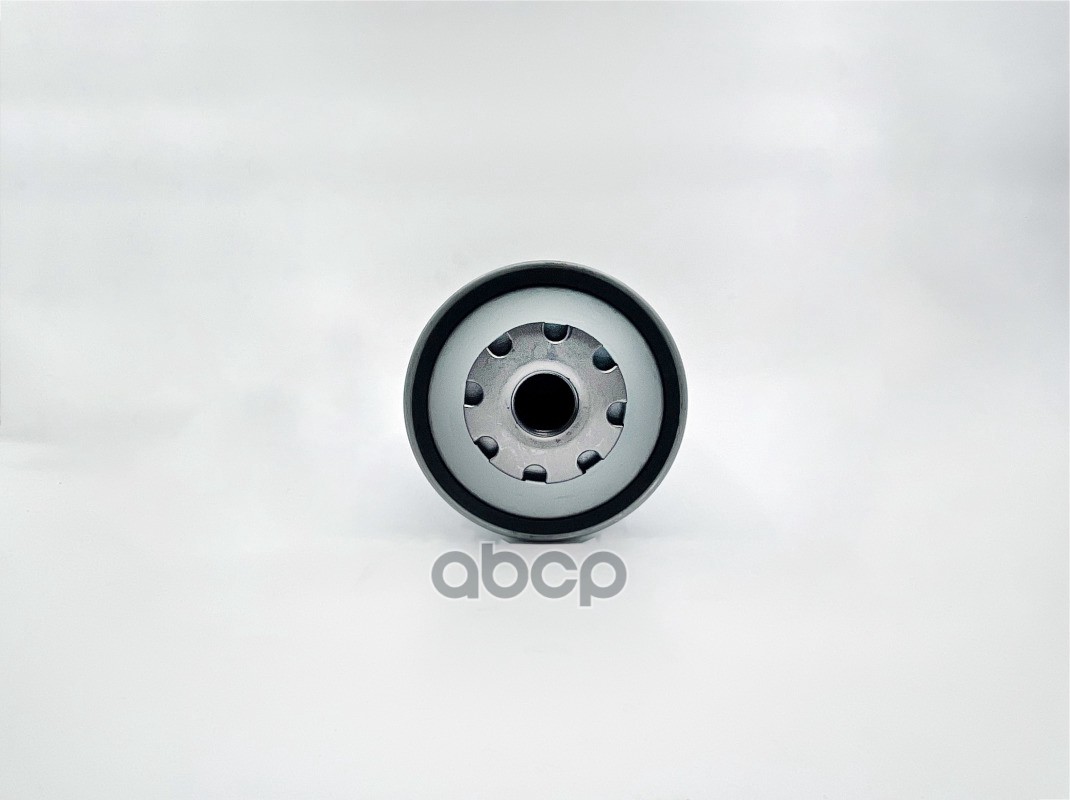 топливный (с колбой) KAMAZ, DAF CF75, CF85, XF95, XF105