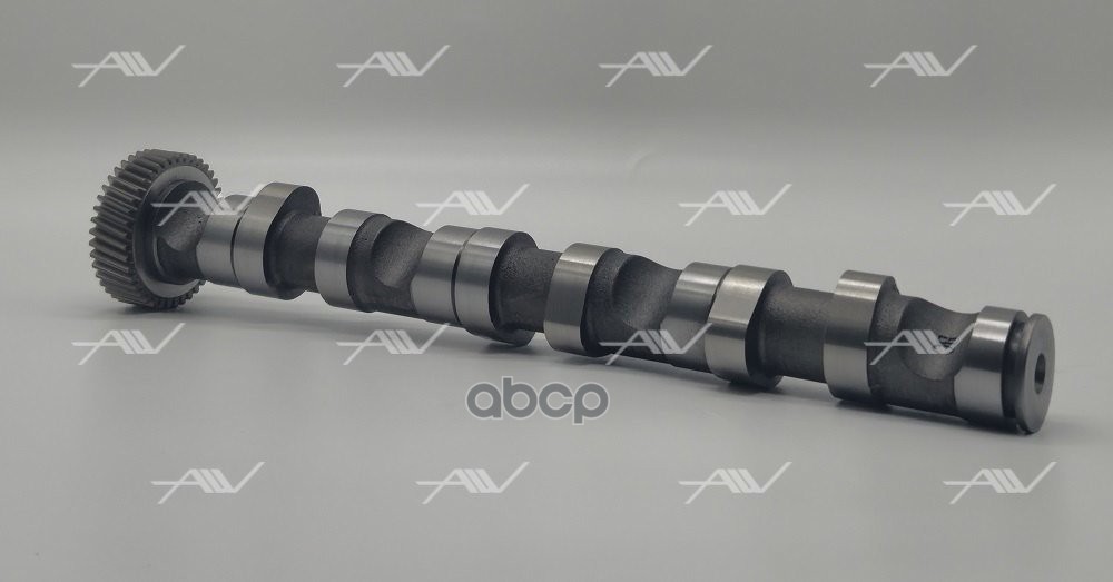 CS 51005 распредвал выпускной AUDI VW 2 5TDI V6 1 3cyl   059109022BC)