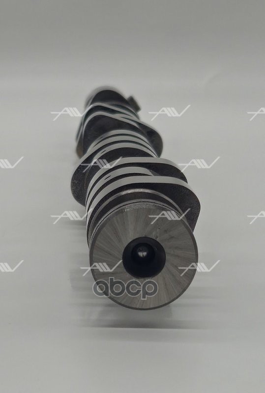 CS-31000 распредвал MAZDA WL (WL31-12-420A)