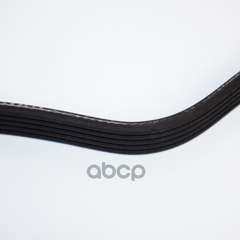 Ремень генератора Nexia/Espero 1,5 DOHC