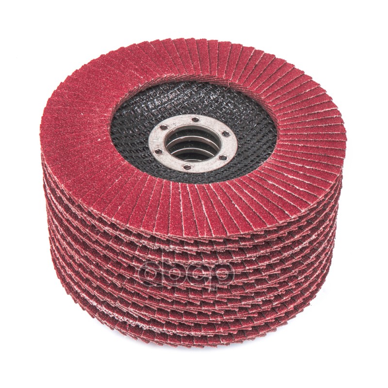 Круг лепестковый торцевой 125x22 Р100