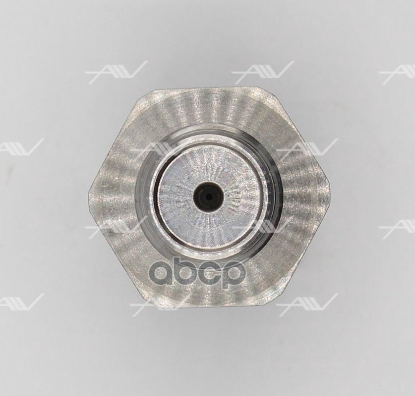 CV-20054 датчик давления топлива (0281006164)