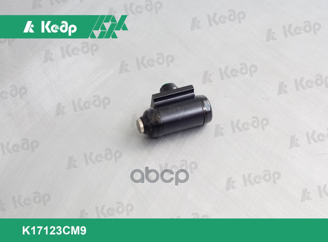 Цилиндр тормозной задний ВАЗ X-Ray 17мм (7701047838) ТРИАЛ