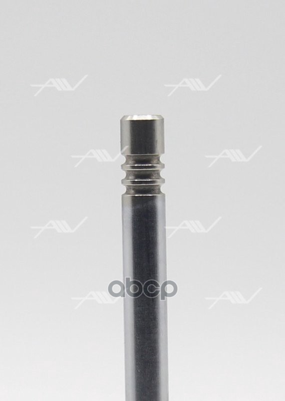 VE-51015 клапан вып VAG AEB/AGB/AGU... 29.9x6x103.9  cotter 5.00mm