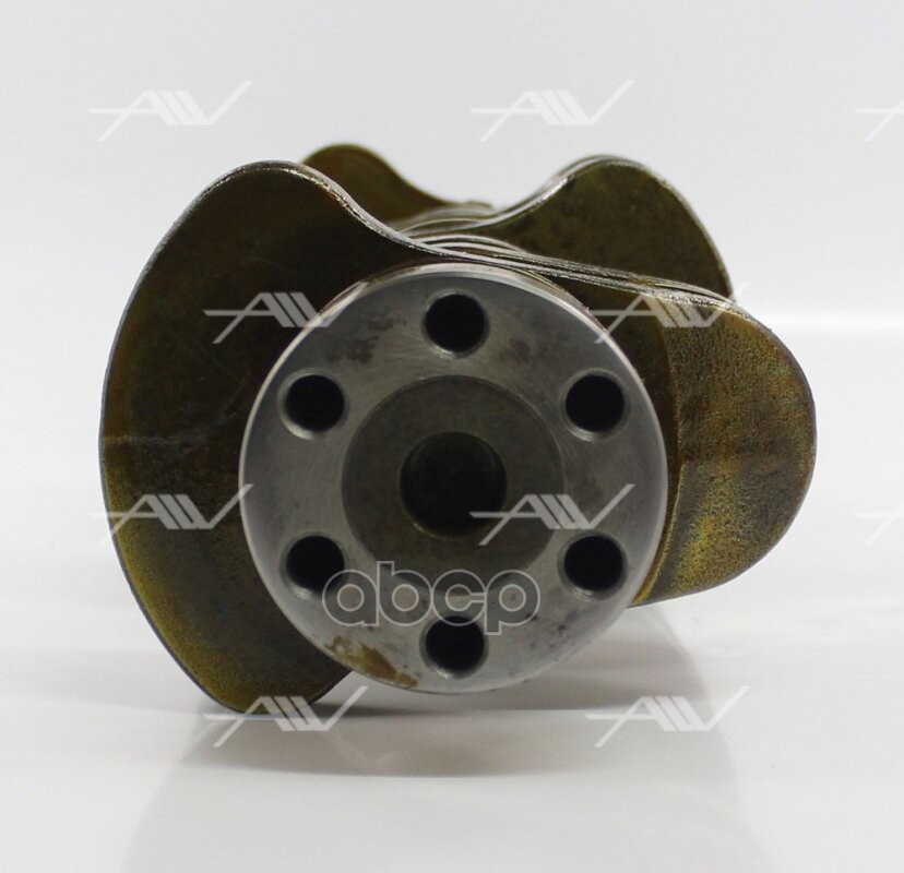 CN-33003 коленвал NISSAN H25 (12201-60K00)