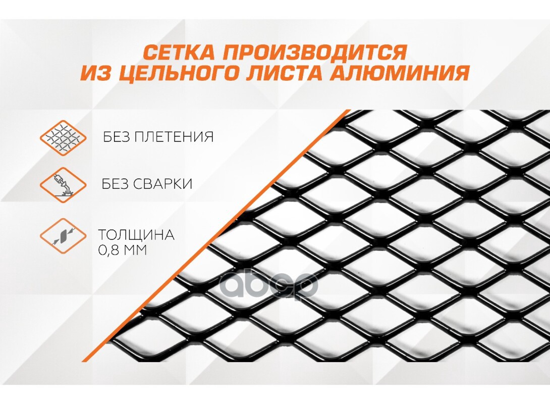 Индивидуальная защитная сетка Geely Tugella FY11 2019-2023