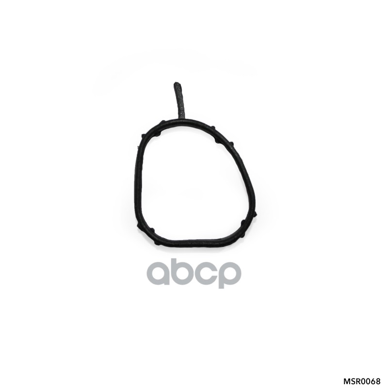 Кольцо уплотнительное, FORD FIESTA (2001-2007) AMR арт. MSR0068