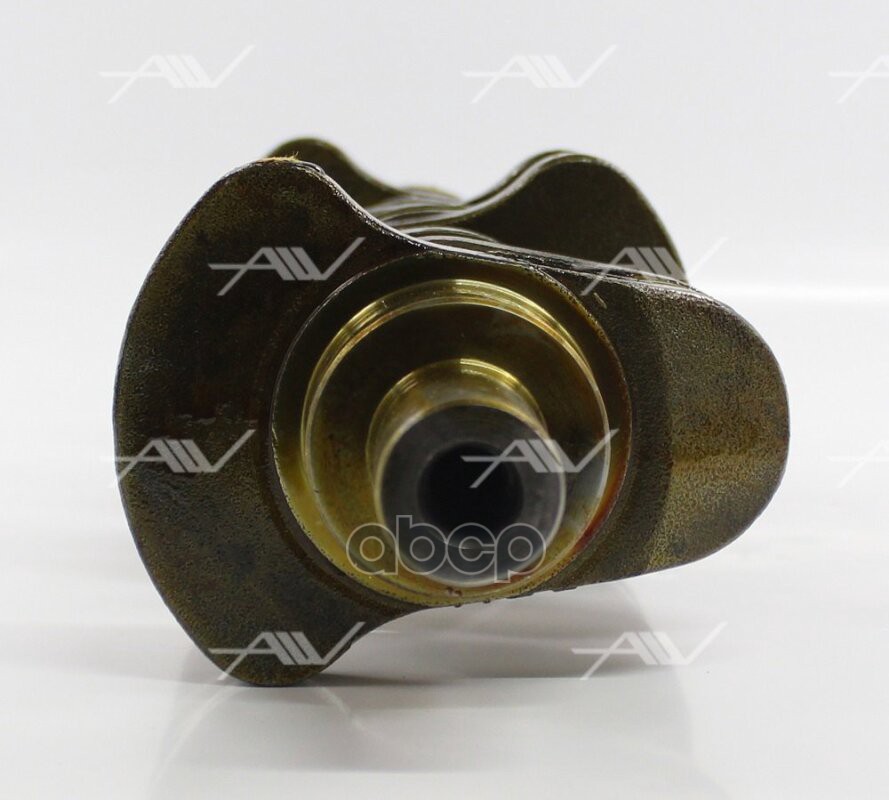 CN-33003 коленвал NISSAN H25 (12201-60K00)