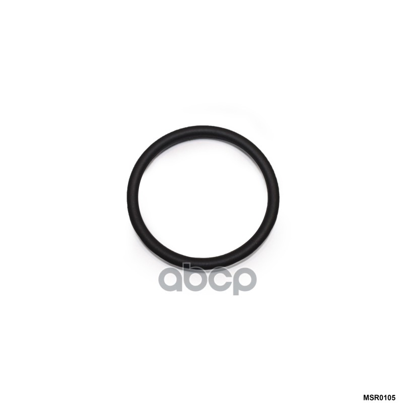 Кольцо уплотнительное, RENAULT LAGUNA II (2001-2008) AMR арт. MSR0105