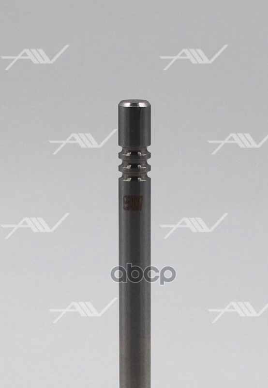 Клапан выпуск Autowelt