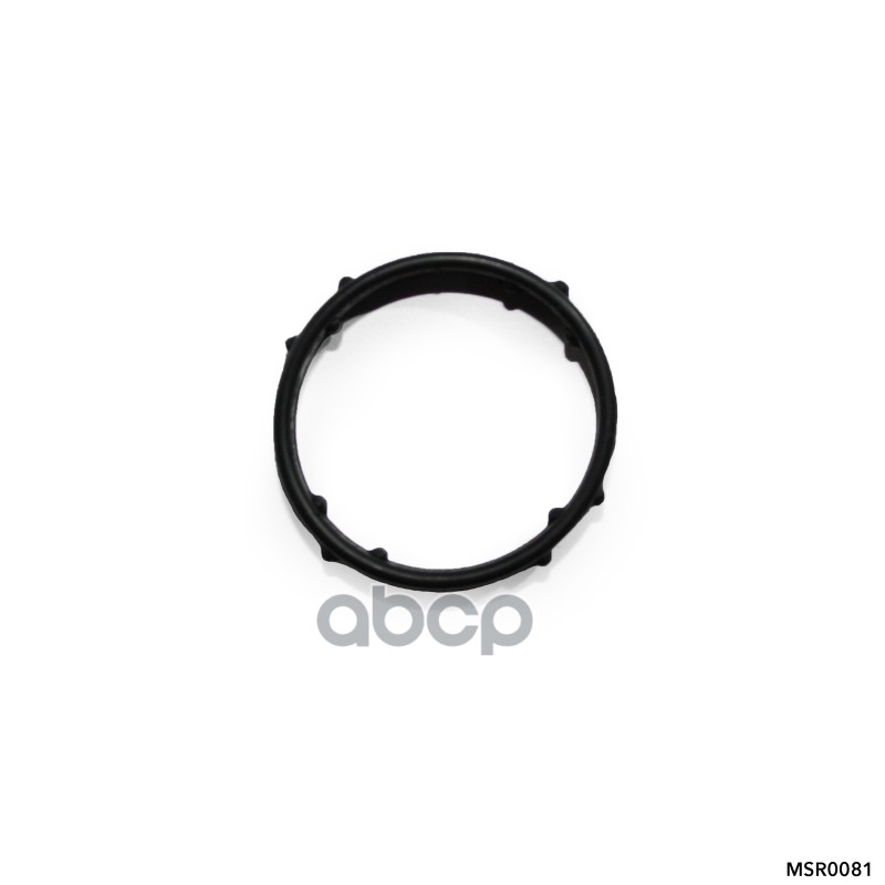 Кольцо уплотнительное, OPEL ASTRA G (1998-2005)/ZAFIRA (F75) (1999-2005) AMR арт. MSR0081