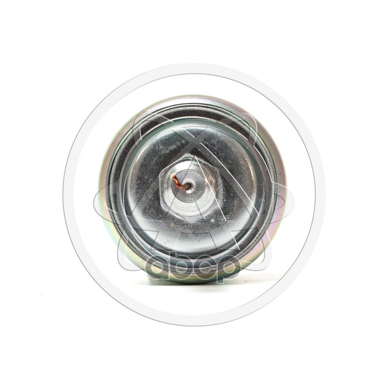 Датчик давления масла двс 402 (ММ358) Avtoelectrica ММ358 SOP10100O7 / ММ 358 / VS-OE 0302 / 308.3829010 / ММ358-3829010 / ММ358-3810000 / ATD67667 / 88-00051-SX / BTL-0024OPS