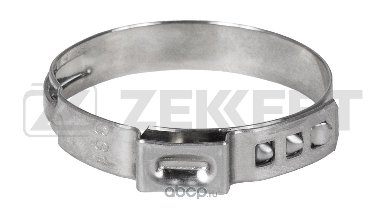 Zekkert BE5052 Хомут ушковый 29,9-33,1 мм (нерж. сталь)