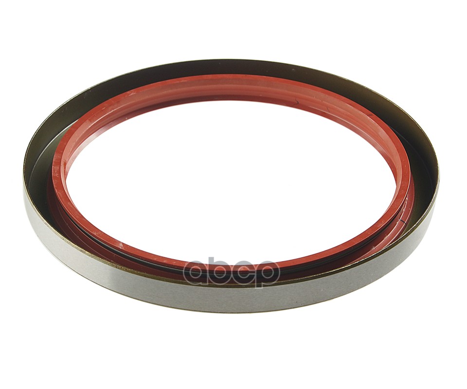 Сальник КАМАЗ-ЕВРО ступицы задней 155х190х15 (мост MADARA) РОСИЧЪ