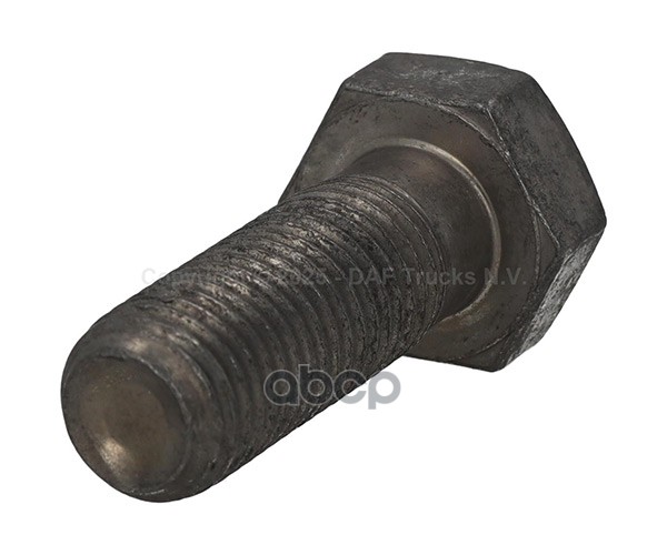 болт М20х2,5х55