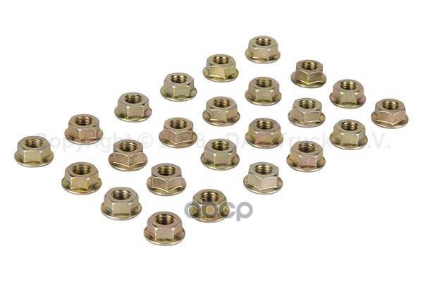 гайка M8 -10.0DAF