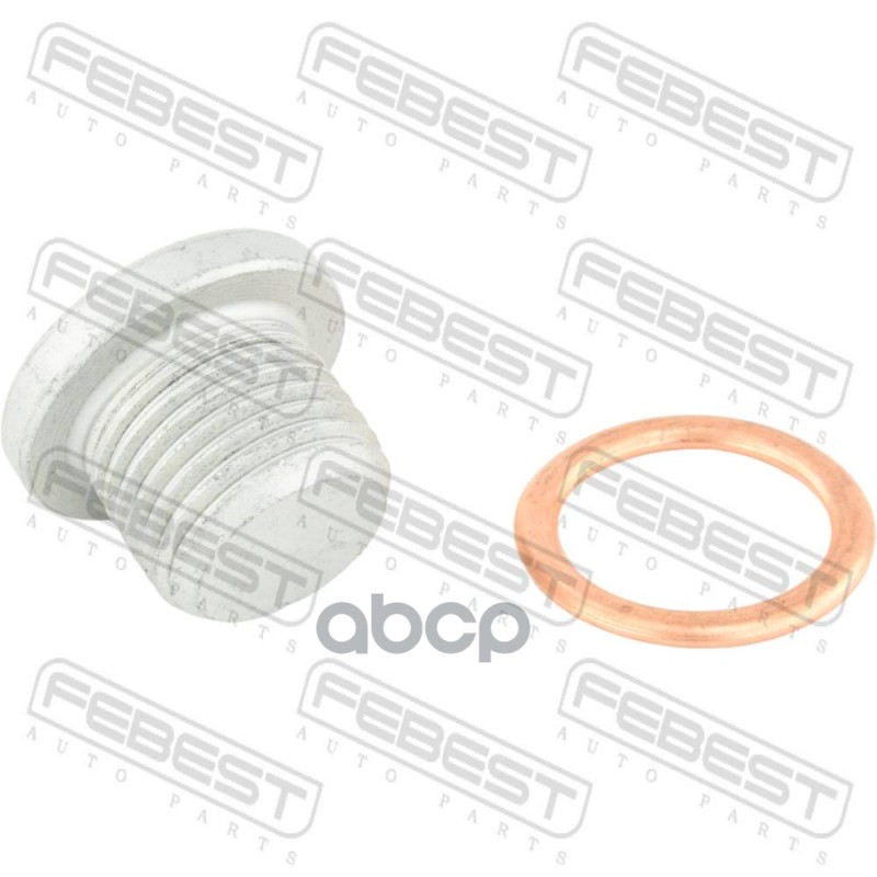 Пробка сливная масляного картера (с уплотнительным кольцом) Febest арт. 0299-001