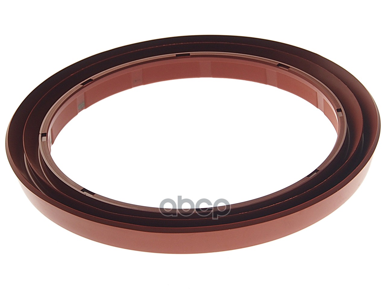 Кольцо КАМАЗ башмака балансира уплотнительное РОСИЧЪ