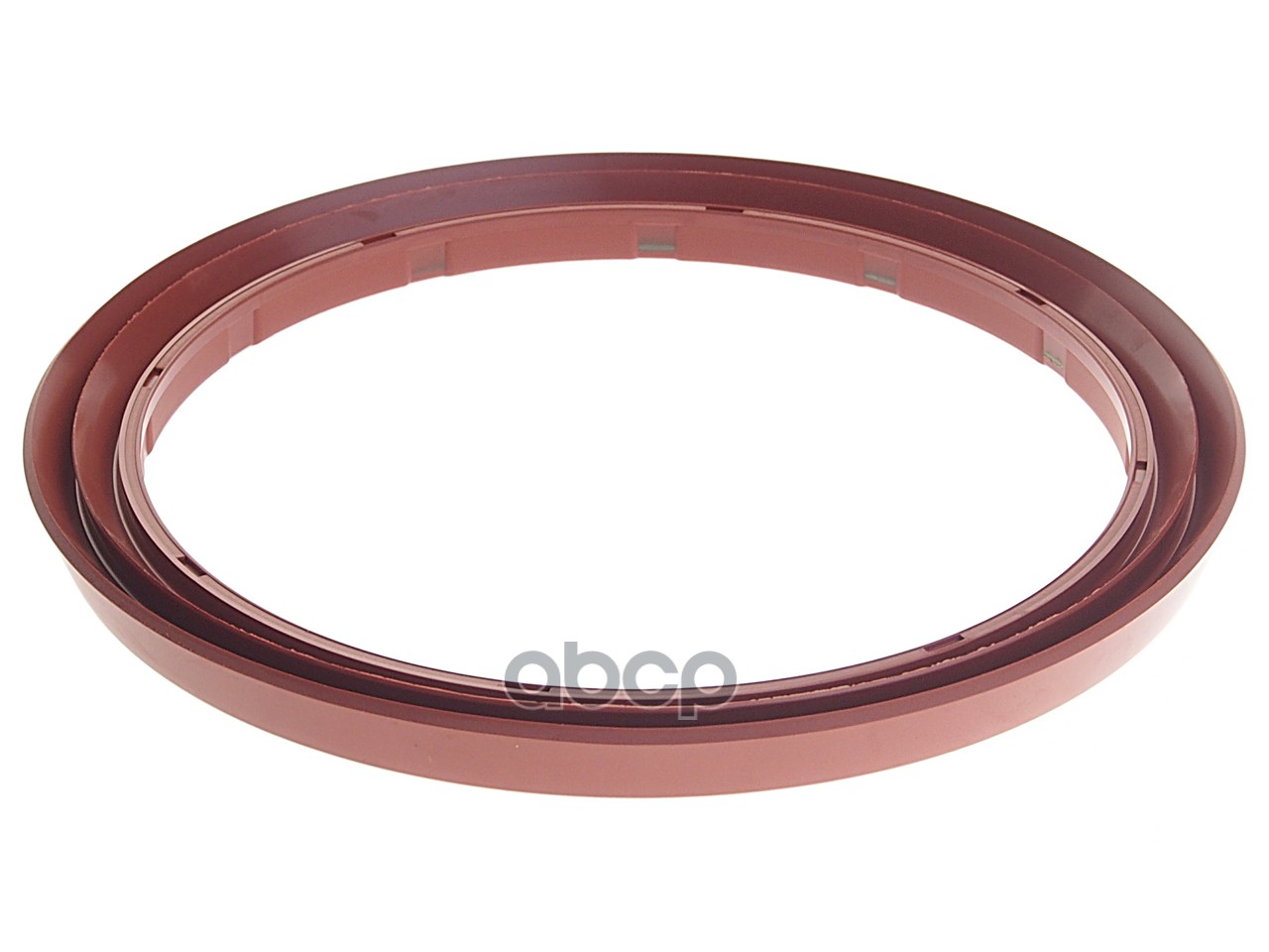 Кольцо КАМАЗ-6520 башмака балансира уплотнительное РОСИЧЪ