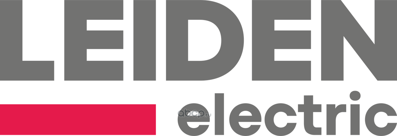 LEIDEN electric