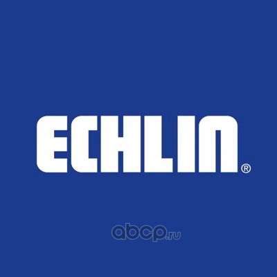 ECHLIN INTERNATIONAL