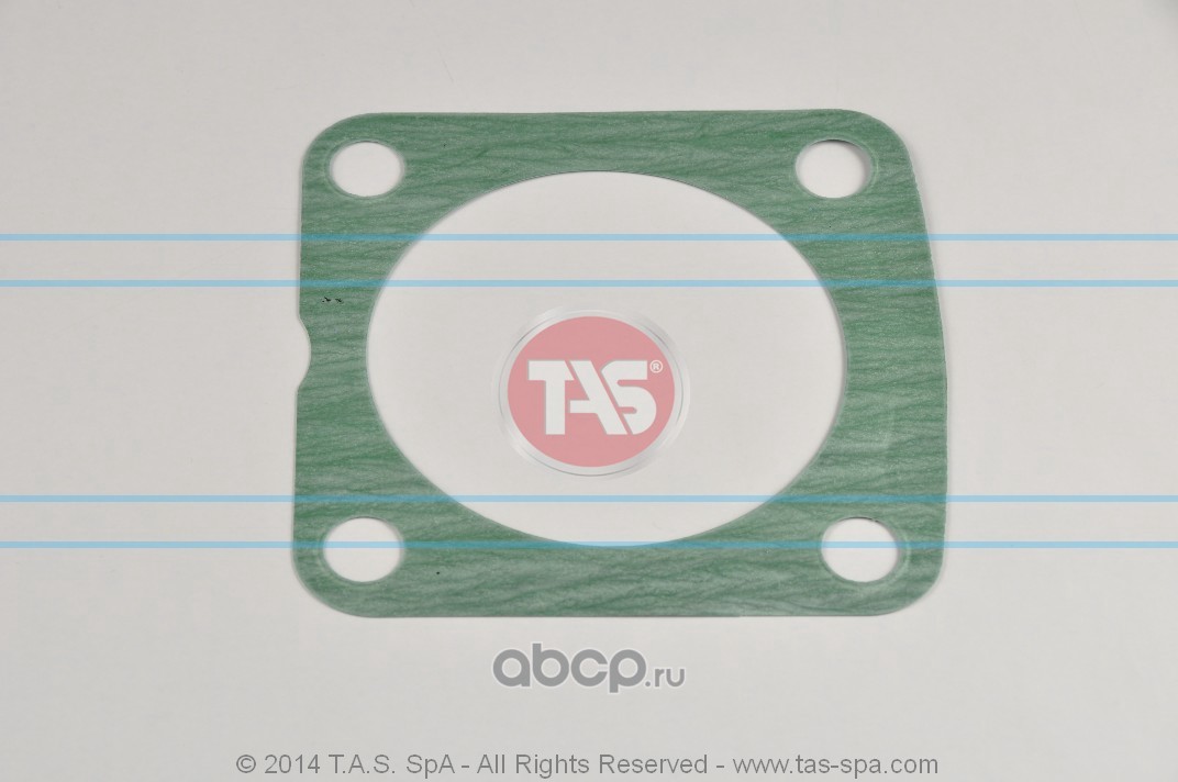 TAS Spa T21176 Прокладка уплотнительная