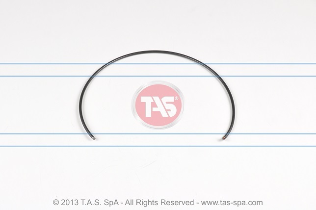 TAS Spa T14487 Кольцо пружинное 1+2G