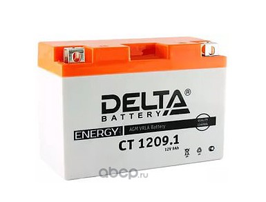 DELTA battery CT12091 Аккумулятор AGM 9 А/ч прямая L+ 151x71x107 EN115 А