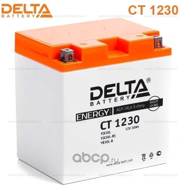 DELTA battery CT1230 Аккумулятор AGM 30 А/ч обратная R+ 168x126x175 EN300 А