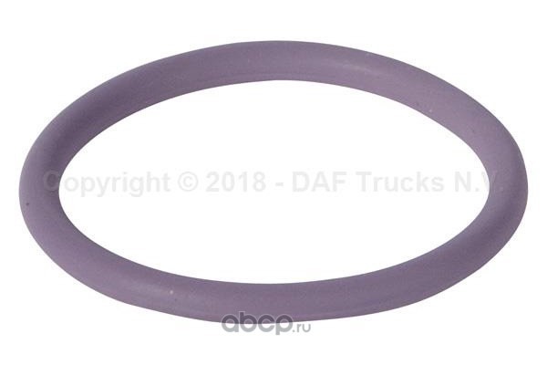 DAF 1638270 Кольцо уплотнительное форсунки DMCI