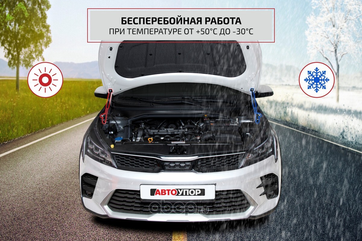 UFDEXP011 АвтоУпор Газовые упоры капота для Ford Explorer V 2010-2019, 2  шт., купить в АВТОМАРКЕТ-НТ.РФ