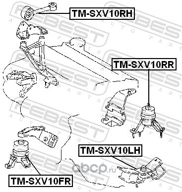 Febest TMSXV10FR Подушка двигателя передняя (гидравлическая)