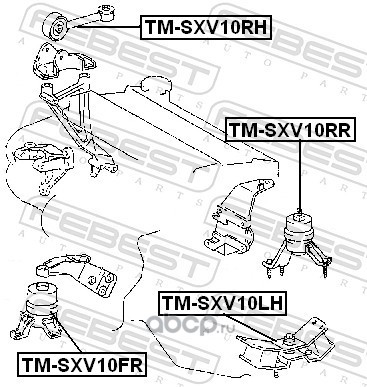 Febest TMSXV10RR Подушка двигателя задняя (гидравлическая)