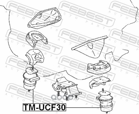 Febest TMUCF30 Подушка двигателя (гидравлическая)