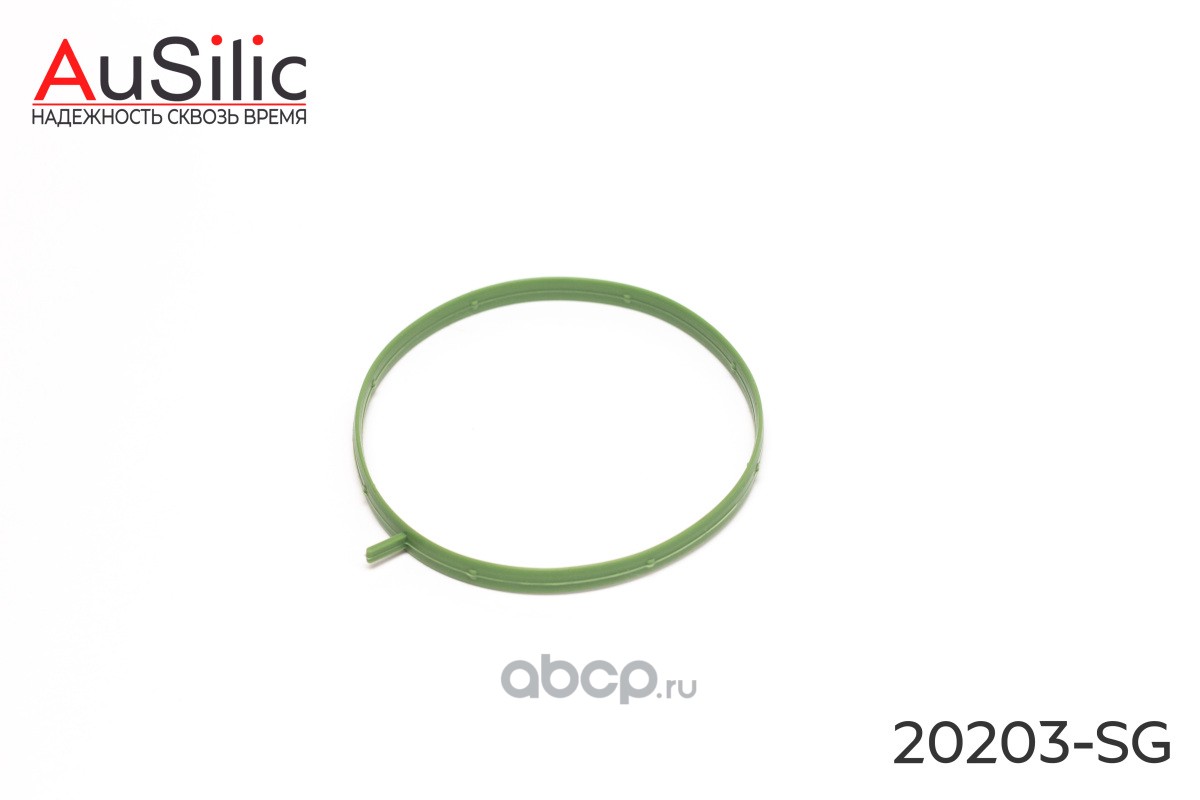 20203SG AuSilic