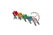 KORTEX KFNL10A10