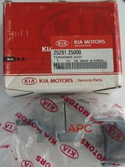 Hyundai-KIA 2528125000
