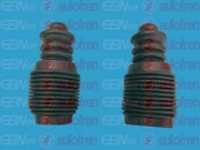 Seinsa Autofren D5039