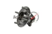 KORTEX K * * * D