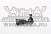 Akitaka 0 * * * L