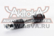 Akitaka 0 * * * 1