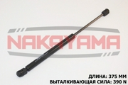 NAKAYAMA G * * * Y
