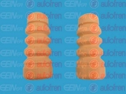 Seinsa Autofren D5050 Пылезащитный комплект, амортизатор
