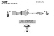 TESLA T * * * P