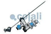 Cojali 2 * * * 3