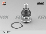 FENOX BJ10091