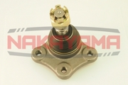 NAKAYAMA K * * * 1