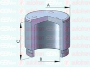 Seinsa Autofren D025134