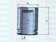 Seinsa Autofren D025338