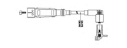 BREMI 11154